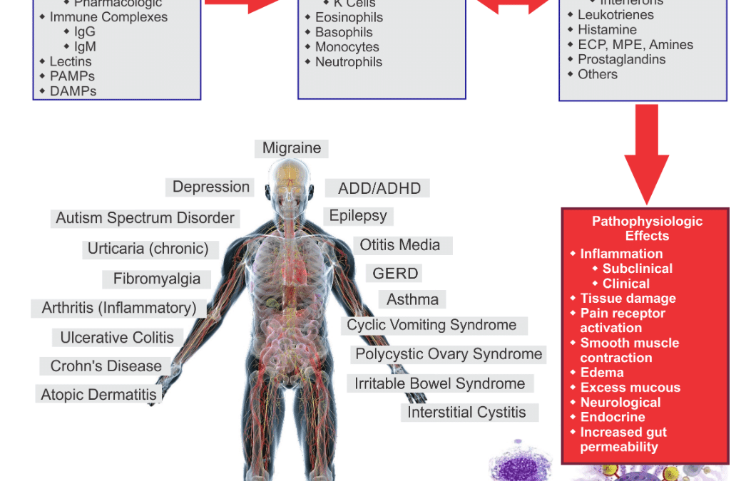 Smother The Fire: Relieve Chronic Pain and Inflammation With Food