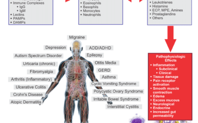 Smother The Fire: Relieve Chronic Pain and Inflammation With Food